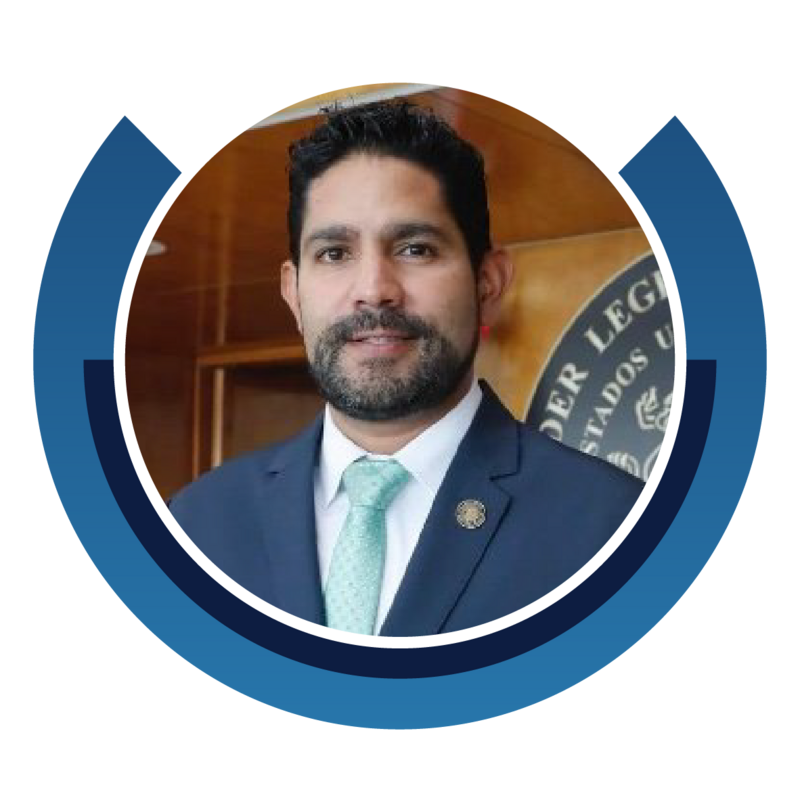 Dip. Javier Octavio Herrera Borunda